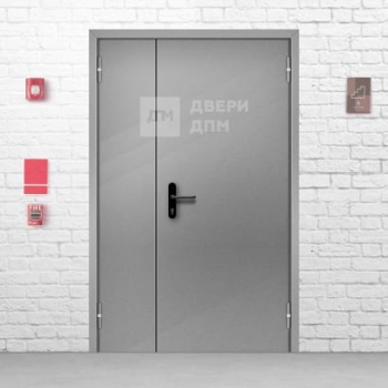 Глухая ДПМ-02 3-го типа противопожарная дверь полуторная 1200×2100 мм