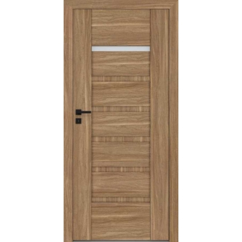 Двери Reva 5