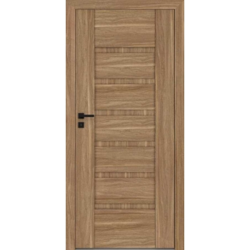 Двери Reva 6