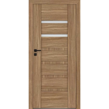 Двери Reva 7